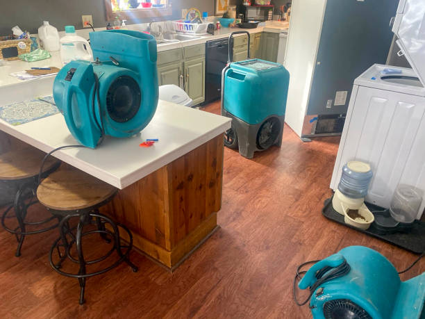 Best Emergency water damage restoration  in Elbow Lake, MN