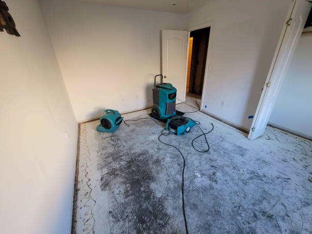  Elbow Lake, MN Water damage restoration Pros