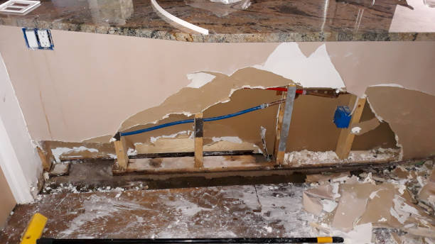 Best Commercial water damage restoration  in Elbow Lake, MN