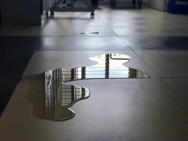 Best 24-hour water damage restoration  in Elbow Lake, MN