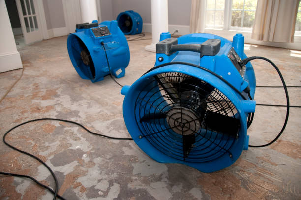 Best Flooded house restoration  in Elbow Lake, MN