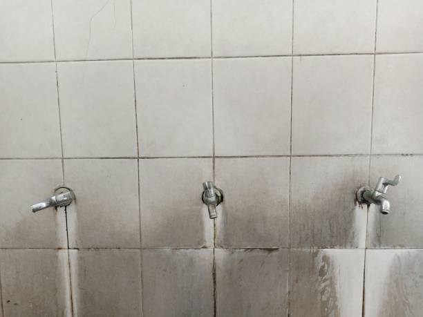 Best Flood restoration services  in Elbow Lake, MN