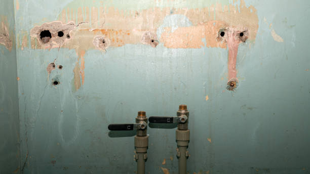 Best Water damage restoration insurance claims  in Elbow Lake, MN