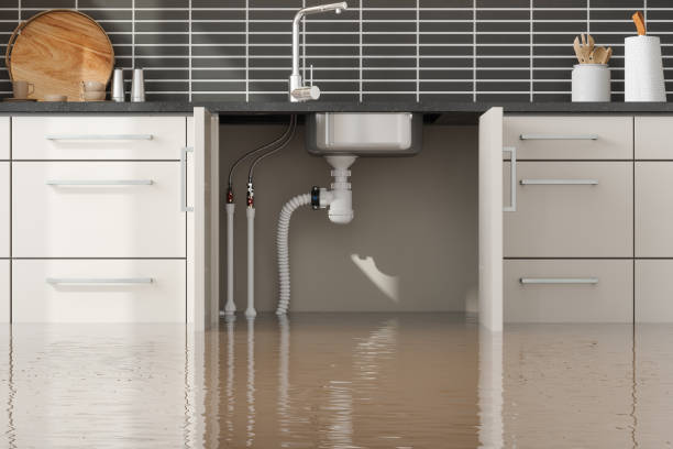 Best Water damage restoration near me  in Elbow Lake, MN